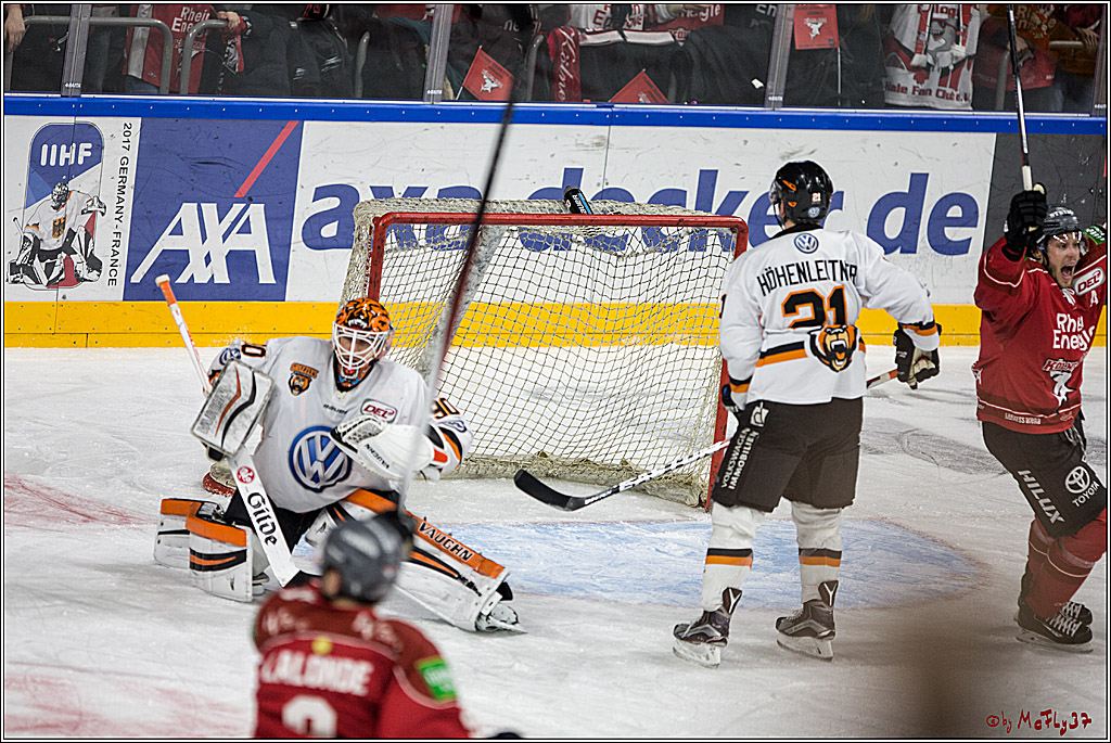 DEL, Koelner Haie - Grizzlys Wolfsburg, 07.03.2017